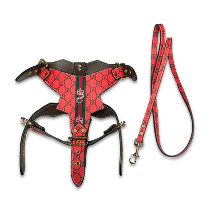 PAWCCI ROCKSTAR RED HARNESS & LEASH SET