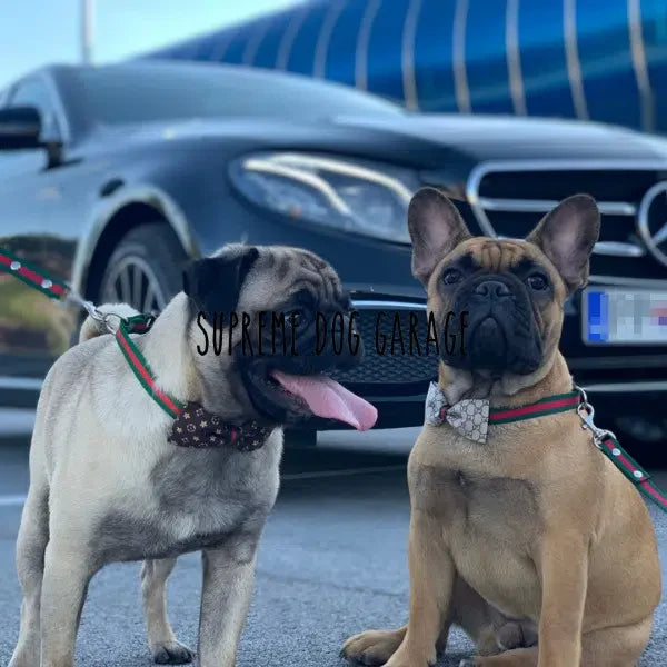 PAWCCI BOW TIE COLLAR & LEASH SET